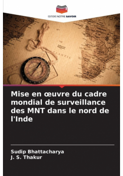 Mise en œuvre du cadre mondial de surveillance des MNT dans le nord de l'Inde