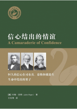 信心结出的情谊 A Camaraderie of Conﬁdence
