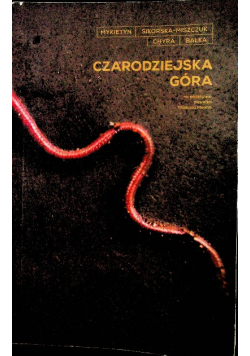 Czarodziejska Góra