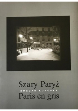 Szary Paryż