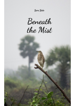 Beneath the Mist
