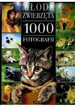 Młode zwierzęta 1000 fotografii