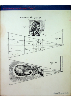 Anamorfozy albo Thaumaturgus opticus Archiwum wyobraźniTom 2