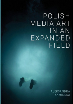 Polish Media Art in an Expanded Field