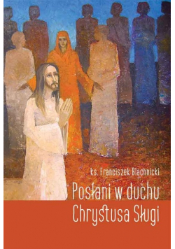 Posłani w Duchu Chrystusa Sługi