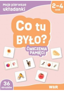 Moje pierwsze układanki Co tu było? ćwiczenia pamięci
