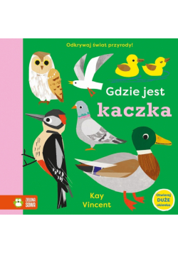 Gdzie jest kaczka. Gdzie jest…