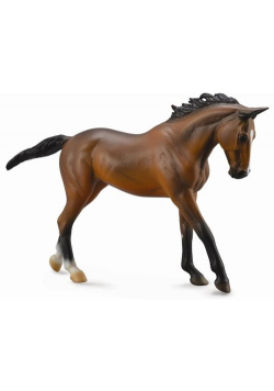 Klacz rasy Thoroughbred