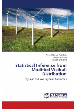Statistical Inference from Modified Weibull Distribution