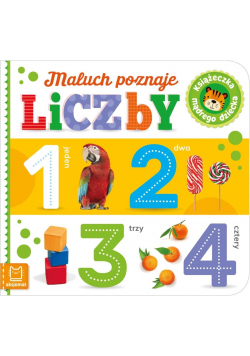 Maluch poznaje liczby. Książeczka mądrego dziecka