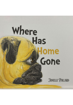 Where Has Home Gone