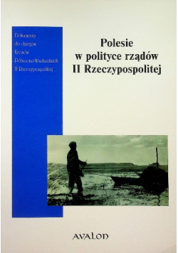 Polesie w polityce rządów II Rzeczypospolitej