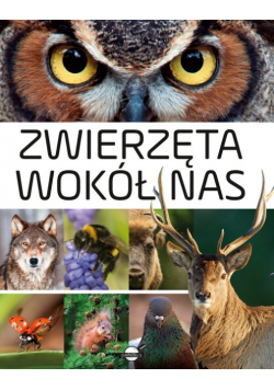 Zwierzęta wokół nas Encyklopedia ilustrowana