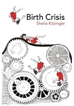 Birth Crisis