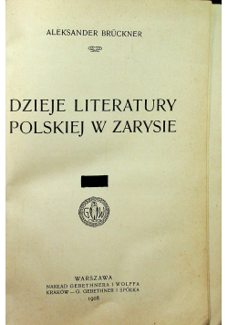 Dzieje literatury polskiej w zarysie 2 tomy  1908 r