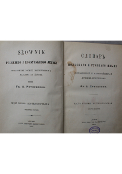 Słownik polskiego i rosyjskiego języka 1900 r