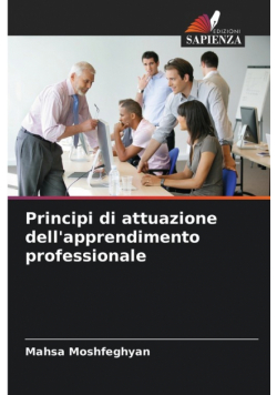 Principi di attuazione dell'apprendimento professionale