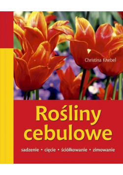 Rośliny cebulowe