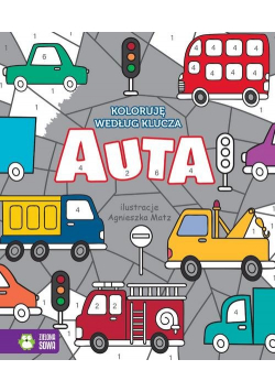 Koloruję według klucza Auta