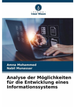 Analyse der Möglichkeiten für die Entwicklung eines Informationssystems