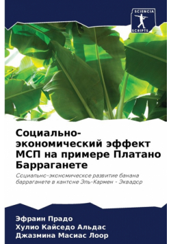 Социально-экономический эффект МСП на примере Платано Барраганете