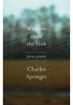 Window over the Sink