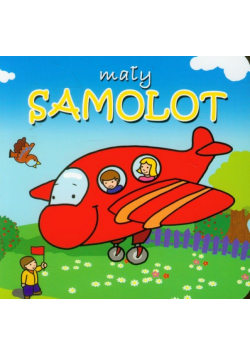 Mały samolot