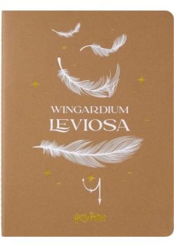 Zeszyt 19x25 linia 60K Harry Potter Wingardium