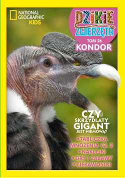Dzikie Zwierzęta. 26 Kondor