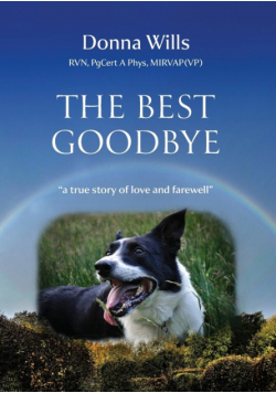 The Best Goodbye