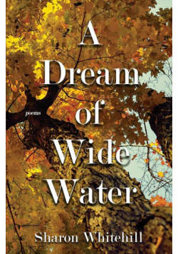 A Dream of Wide Water