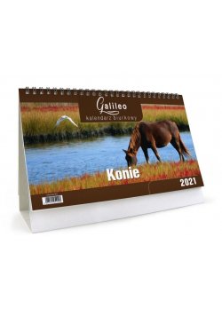 Kalendarz 2021 Biurkowy Galileo Konie CRUX