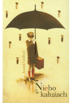 Niebo w kałużach