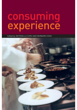 Consuming Experience