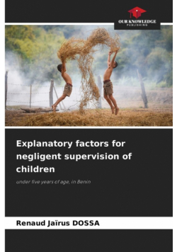 Explanatory factors for negligent supervision of children
