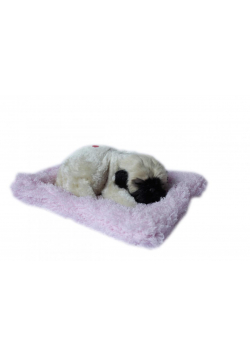 Śpiący piesek na poduszce - Mops