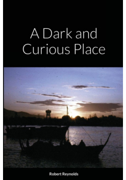 A Dark and Curious Place