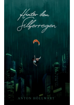 Hinter dem Silberregen