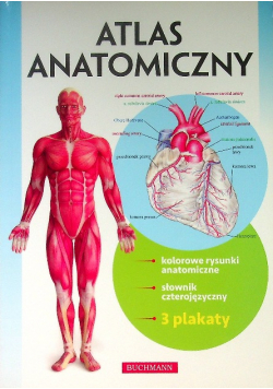 Atlas anatomiczny