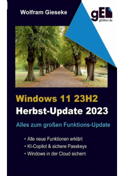 Windows 11 23H2