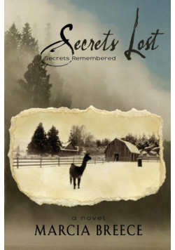 Secrets Lost
