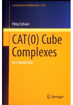 CAT(0) Cube Complexes: An Introduction