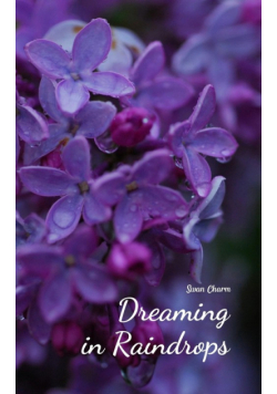 Dreaming in Raindrops