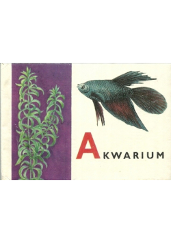 Akwarium