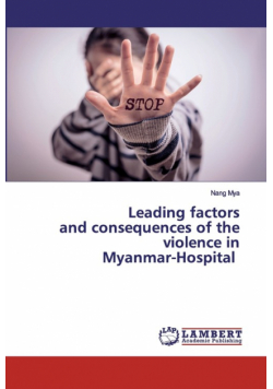 Leading factors and consequences of the violence in Myanmar-Hospital
