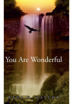 You are Wonderful