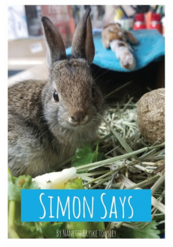 Simon Says