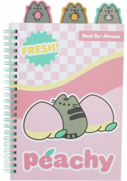 Notes ze znacznikami Pusheen