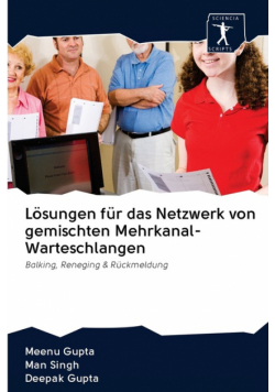 Lösungen für das Netzwerk von gemischten Mehrkanal-Warteschlangen