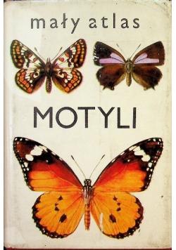 Mały atlas motyli